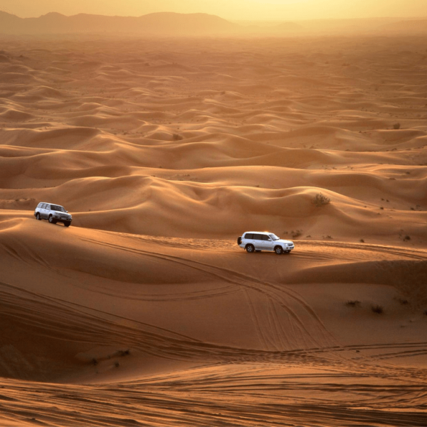 Abu Dhabi Sunset Desert Safari with BBQ, Camel Ride & Sandboarding – Experiences Kanwal Malik Official a poet, novelist and a writer based in dubai 4