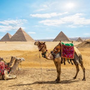 Cairo: Fun around the Giza Pyramids & Khan El Khalili Old Market – Sightseeing and Tours Kanwal Malik Official a poet, novelist and a writer based in dubai