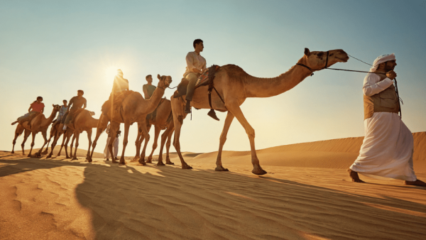 Camel Trekking Experience In Abu Dhabi With Transfers In Land Cruiser – Top-Rated Attractions Kanwal Malik Official a poet, novelist and a writer based in dubai 5