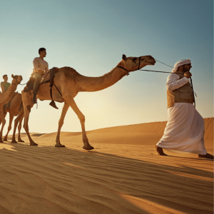 Camel Trekking Experience In Abu Dhabi With Transfers In Land Cruiser – Top-Rated Attractions Kanwal Malik Official a poet, novelist and a writer based in dubai