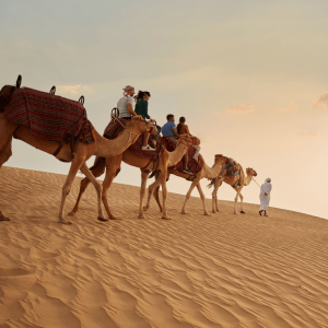 Dubai Sunset Safari Delight with BBQ dinner and camel ride – Desert safaris Kanwal Malik Official a poet, novelist and a writer based in dubai