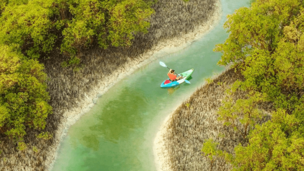 Guided Kayak Tour in the Reem Central Park Mangroves – Water Sports Kanwal Malik Official a poet, novelist and a writer based in dubai 5