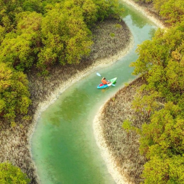 Guided Kayak Tour in the Reem Central Park Mangroves – Water Sports Kanwal Malik Official a poet, novelist and a writer based in dubai 4