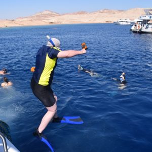 Half-day Snorkeling Boat trip with lunch and drinks from Sharm El Sheikh – Sightseeing and Tours Kanwal Malik Official a poet, novelist and a writer based in dubai