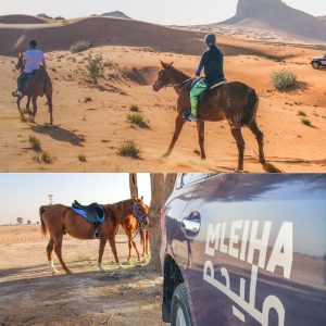 Horse Back Riding Desert Hack – Sports Events Kanwal Malik Official a poet, novelist and a writer based in dubai