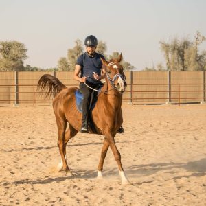 Horse Riding At Mleiha Arena – Sports Events Kanwal Malik Official a poet, novelist and a writer based in dubai