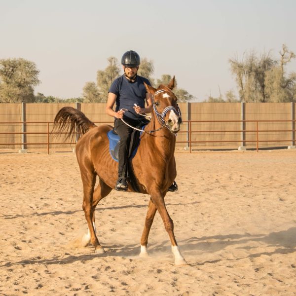 Horse Riding At Mleiha Arena – Sports Events Kanwal Malik Official a poet, novelist and a writer based in dubai 4