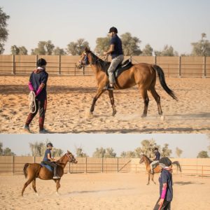 Horse Riding Training Course One Session – Sports Events Kanwal Malik Official a poet, novelist and a writer based in dubai