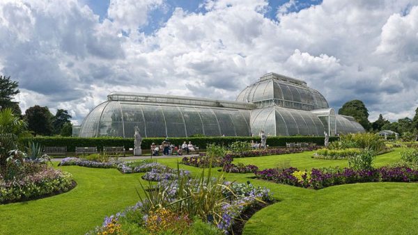 Kew Gardens & Kew Palace: Admission Ticket – Top-Rated Attractions Kanwal Malik Official a poet, novelist and a writer based in dubai 5