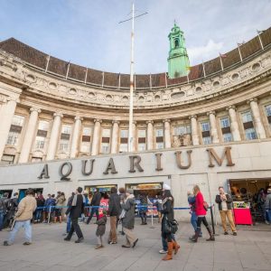 SEA LIFE London Aquarium – Same day Ticket – Top-Rated Attractions Kanwal Malik Official a poet, novelist and a writer based in dubai