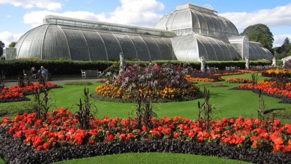 Visit Kew Gardens & 3 Hour Westminster Walking Tour – Recently Added Experiences Kanwal Malik Official a poet, novelist and a writer based in dubai 5