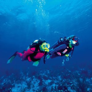 Antalya Diving Tour With Lunch And Transfer – Recently Added Experiences Kanwal Malik Official a poet, novelist and a writer based in dubai