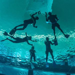 Deep Dive Dubai Surface Snorkeling Experience – Water Sports Kanwal Malik Official a poet, novelist and a writer based in dubai