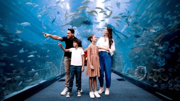 Dubai Aquarium & Underwater Zoo – Ultimate Experience – Recently Added Experiences Kanwal Malik Official a poet, novelist and a writer based in dubai 5