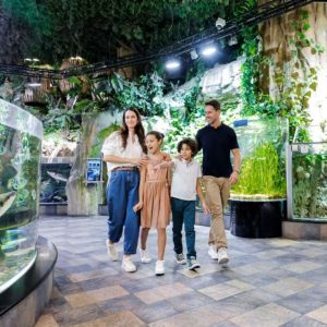 Dubai Aquarium & Underwater Zoo – Ultimate Experience – Recently Added Experiences Kanwal Malik Official a poet, novelist and a writer based in dubai