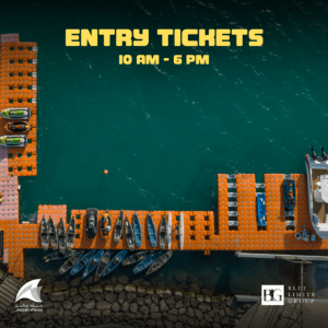 Entry Ticket To The Beach – Festival Kanwal Malik Official a poet, novelist and a writer based in dubai