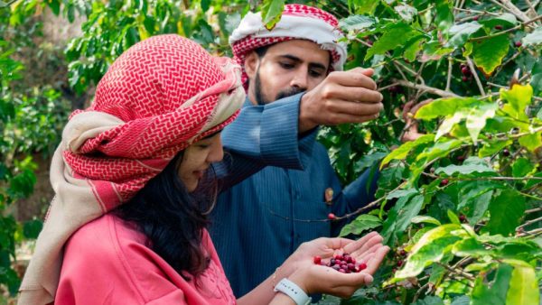 Hike with a local coffee farmer – Recently Added Experiences Kanwal Malik Official a poet, novelist and a writer based in dubai 5