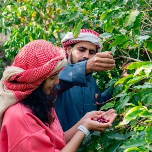 Hike with a local coffee farmer – Recently Added Experiences Kanwal Malik Official a poet, novelist and a writer based in dubai