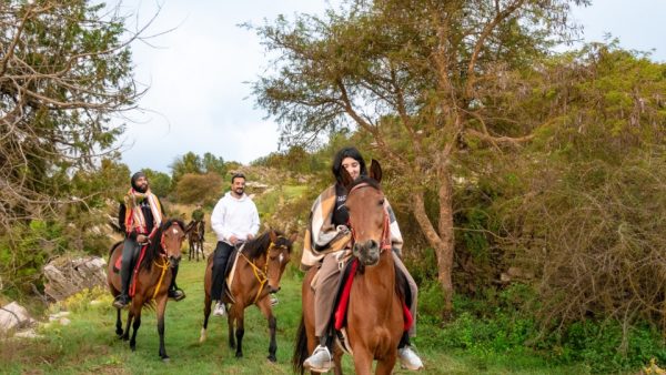 Horse Riding Experience – Recently Added Experiences Kanwal Malik Official a poet, novelist and a writer based in dubai 5