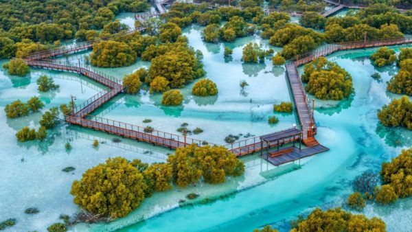 Jubail Mangrove Park – Boardwalk Experience – Recently Added Experiences Kanwal Malik Official a poet, novelist and a writer based in dubai 5