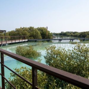 Jubail Mangrove Park – Boardwalk Experience – Recently Added Experiences Kanwal Malik Official a poet, novelist and a writer based in dubai