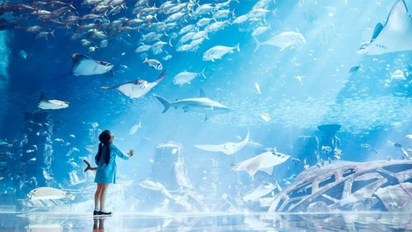 Lost Chambers Aquarium – Experiences Kanwal Malik Official a poet, novelist and a writer based in dubai 5