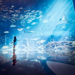 Lost Chambers Aquarium – Experiences Kanwal Malik Official a poet, novelist and a writer based in dubai