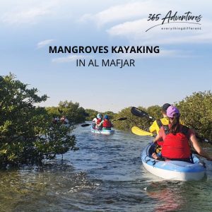 MANGROVES EXPLORATION TOUR – AL MAFJAR – Outdoor Attractions Kanwal Malik Official a poet, novelist and a writer based in dubai