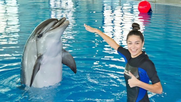 Swimming With Dolphins – Dubai Dolphinarium – Dubai Dolphinarium Kanwal Malik Official a poet, novelist and a writer based in dubai 5