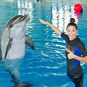 Swimming With Dolphins – Dubai Dolphinarium – Dubai Dolphinarium Kanwal Malik Official a poet, novelist and a writer based in dubai