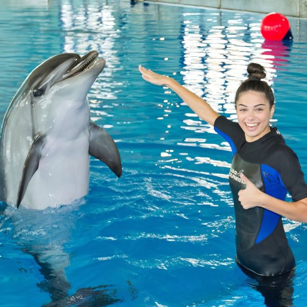 Swimming With Dolphins – Dubai Dolphinarium – Dubai Dolphinarium Kanwal Malik Official a poet, novelist and a writer based in dubai 4