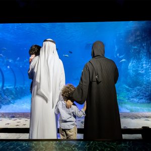 The National Aquarium Abu Dhabi – Experiences Kanwal Malik Official a poet, novelist and a writer based in dubai