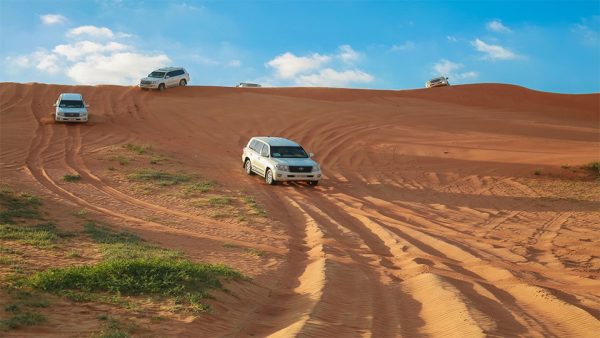 Desert Safari in RAK: Dune Bashing, Sand Boarding and a Camel Ride – Desert safaris Kanwal Malik Official a poet, novelist and a writer based in dubai 5