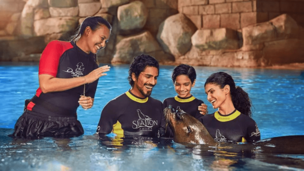 Dolphin Bay Experiences – Water Parks Kanwal Malik Official a poet, novelist and a writer based in dubai 5