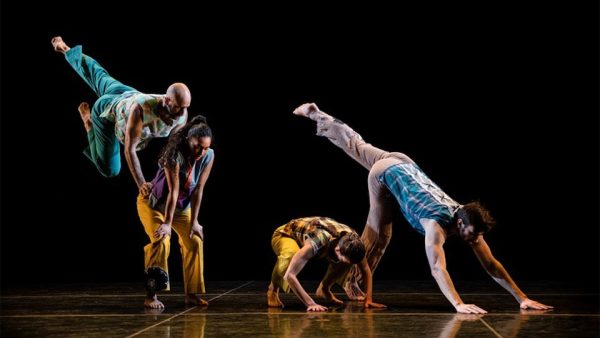 In The Fall | Working Title – Trisha Brown Dance Company – Shows and Theatrical Plays Kanwal Malik Official a poet, novelist and a writer based in dubai 5