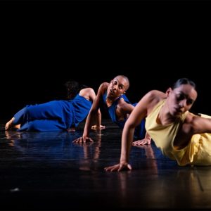 In The Fall | Working Title – Trisha Brown Dance Company – Shows and Theatrical Plays Kanwal Malik Official a poet, novelist and a writer based in dubai