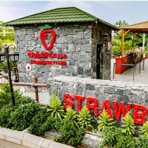 Strawberry Farm – Top-Rated Attractions Kanwal Malik Official a poet, novelist and a writer based in dubai