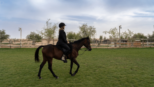 Sunset Horse Riding at Al Marmoom Oasis with a 6-Course Bedouin Dinner – Outdoor Attractions Kanwal Malik Official a poet, novelist and a writer based in dubai 5