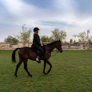 Sunset Horse Riding at Al Marmoom Oasis with a 6-Course Bedouin Dinner – Outdoor Attractions Kanwal Malik Official a poet, novelist and a writer based in dubai