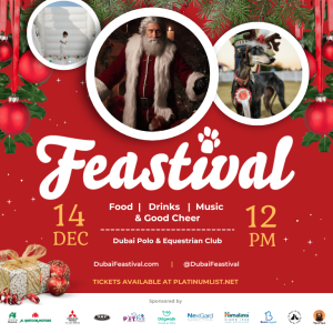 Dog-friendly Family Festival – Christmas Events Kanwal Malik Official a poet, novelist and a writer based in dubai