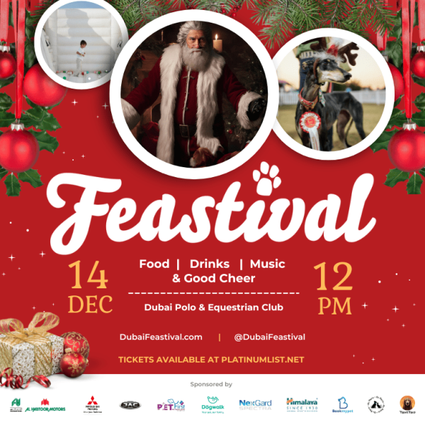 Dog-friendly Family Festival – Christmas Events Kanwal Malik Official a poet, novelist and a writer based in dubai 4