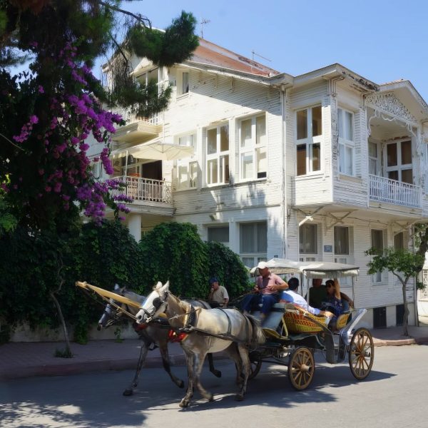 Princes’ Island Tour from Istanbul – Recently Added Experiences Kanwal Malik Official a poet, novelist and a writer based in dubai 4