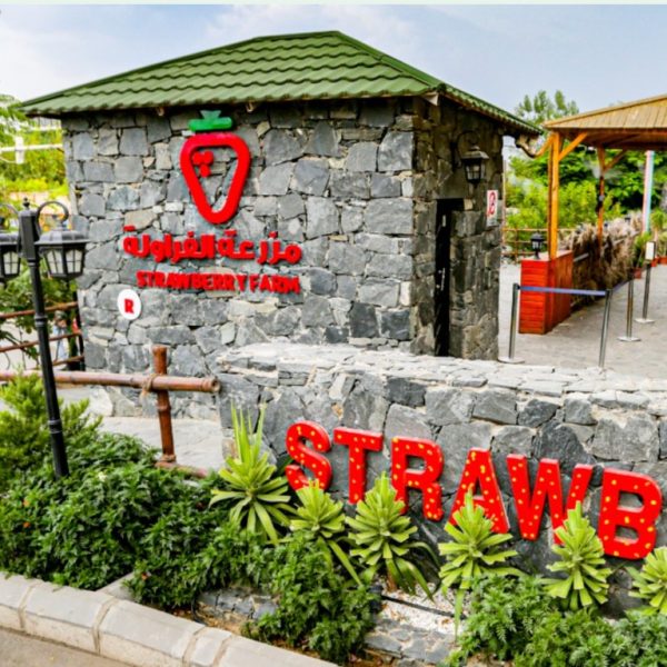 Strawberry Farm – Top-Rated Attractions Kanwal Malik Official a poet, novelist and a writer based in dubai 4