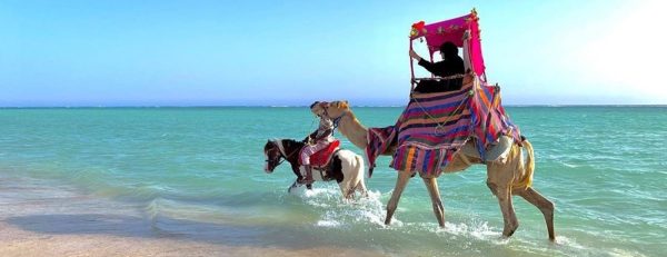 Full Day Obhur & Beach Tour With Transfers – Recently Added Experiences Kanwal Malik Official a poet, novelist and a writer based in dubai 6