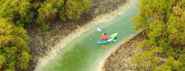 Guided Kayak Tour in the Reem Central Park Mangroves – Water Sports Kanwal Malik Official a poet, novelist and a writer based in dubai 6