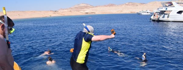 Half-day Snorkeling Boat trip with lunch and drinks from Sharm El Sheikh – Sightseeing and Tours Kanwal Malik Official a poet, novelist and a writer based in dubai 6