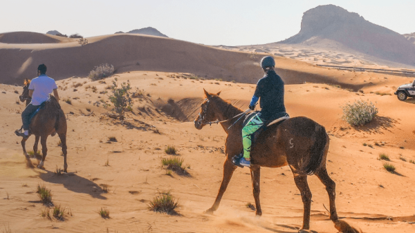 Horse Back Riding Desert Hack – Sports Events Kanwal Malik Official a poet, novelist and a writer based in dubai 5