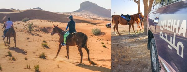 Horse Back Riding Desert Hack – Sports Events Kanwal Malik Official a poet, novelist and a writer based in dubai 6