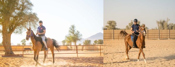 Horse Riding At Mleiha Arena – Sports Events Kanwal Malik Official a poet, novelist and a writer based in dubai 6