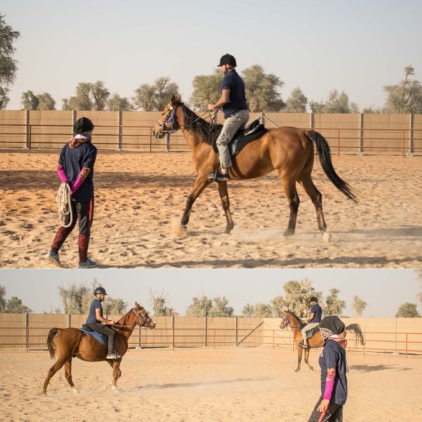 Horse Riding Training Course One Session – Sports Events Kanwal Malik Official a poet, novelist and a writer based in dubai 4